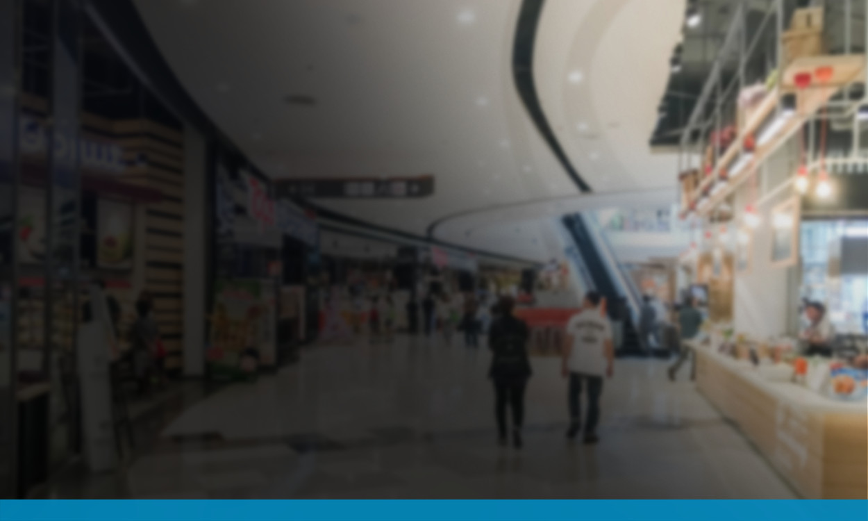 Brain | Grupo Iguatemi: shoppings para serem vividos e admirados