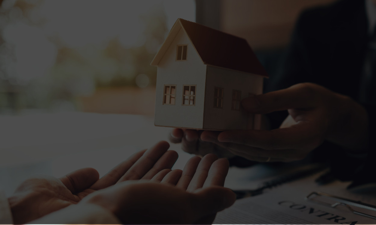 Brain | Intenção de compra 4T25